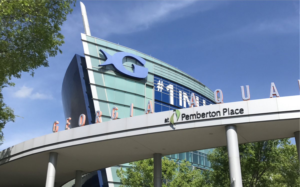 A Traveler’s Atlanta CityPass Wonders